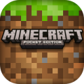 minecraft game