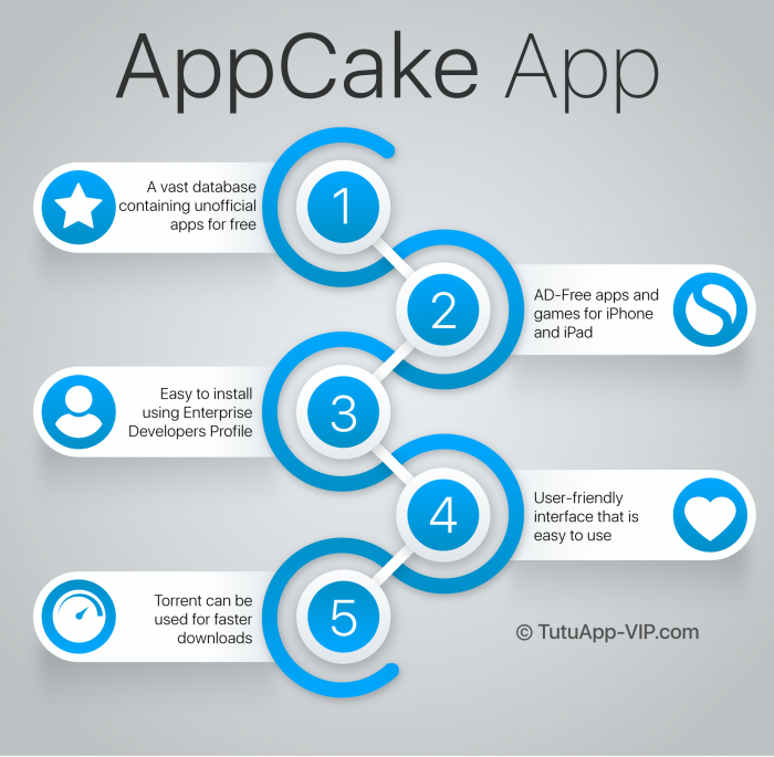 appcake infographic english