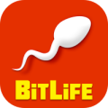 BitLife Game