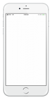 white_screen_issue